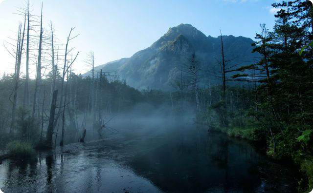 【千葉・東金】おじゃが池で幽霊にロケット花火を撃ったら起きた異変