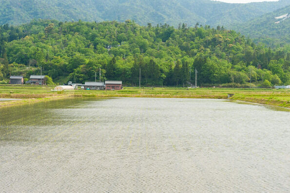 7ab09599-s