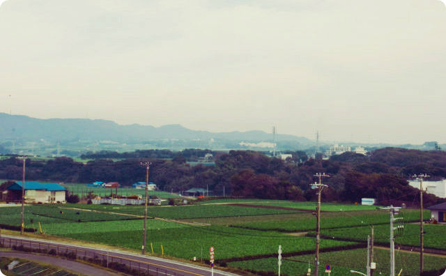 田舎の風景