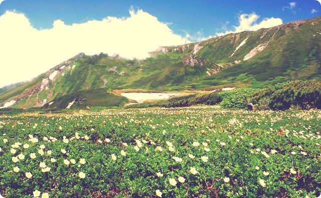 画像をダウンロード 大 雪山 ロッジ 111453大 雪山 ロッジ 事件