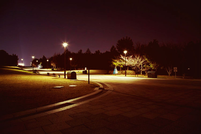 D157_yonakanokasairinkaikouen500-thumb-750x500-2548