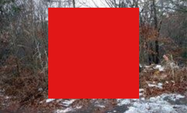 9139A895-4E35-43A2-A6DE-B0EF58817D04