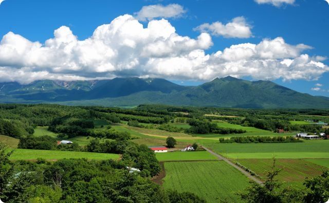 田舎の山