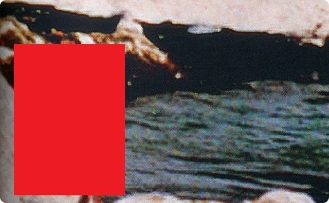 【※画像あり】池の中に“未知の生物”がいた！？正体不明の存在が話題に