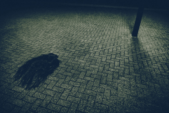 kazukihiro512173_TP_V