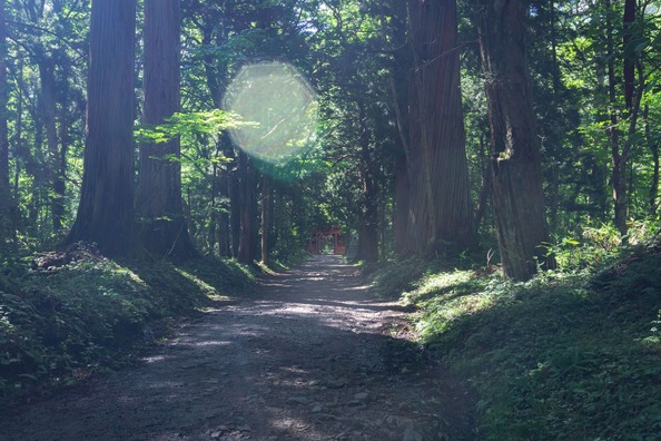 togakurezuDSC08198063_TP_V