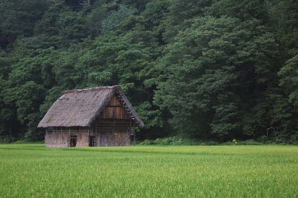 【恐怖】林の中で空き家見つけたんだが…