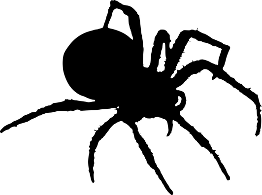 spider-3357489_1280