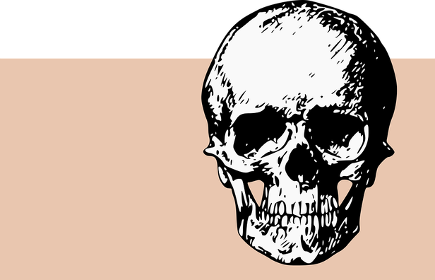 bones-2025877_960_720