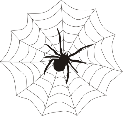 spider-155449_960_720