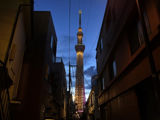 HAW980_minkatoskytree_TP_V