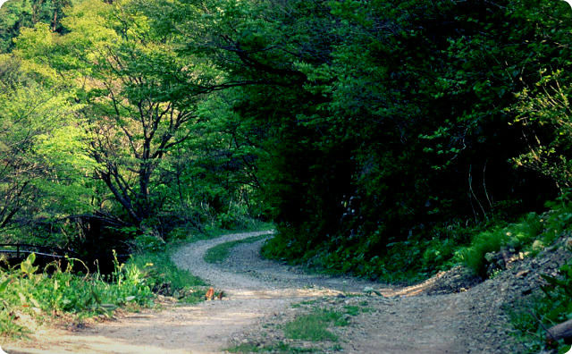 山道