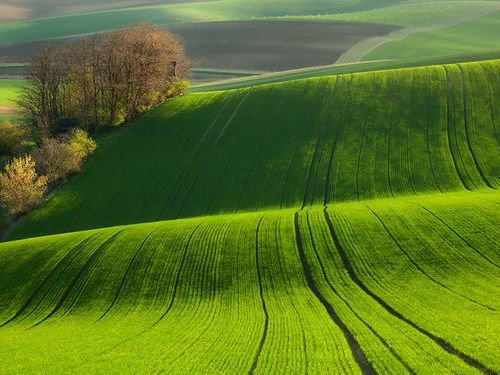 チェコ モラヴィア