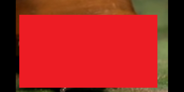 SnapCrab_NoName_2021-11-4_8-24-11_No-00