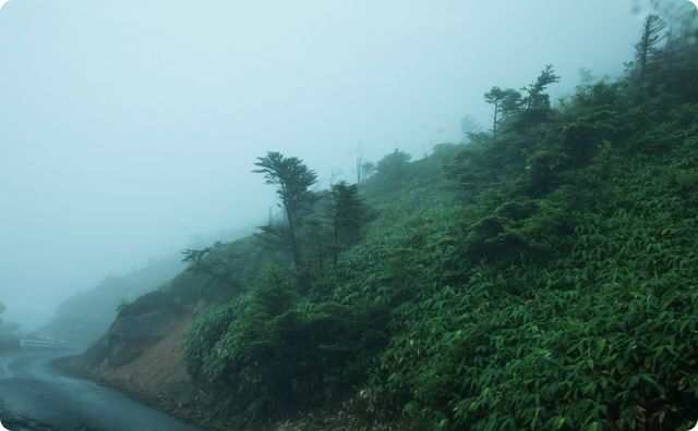 山道に“正体不明のモノ”が置かれているんだが…本気で気味が悪い…