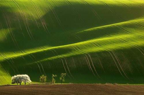 チェコ モラヴィア 2