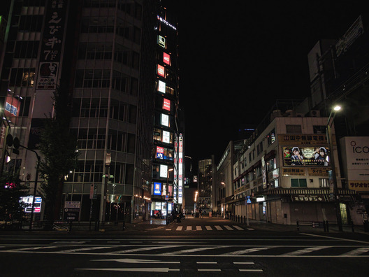 NZSbobakibaPA170132512AB-low-light_TP_V