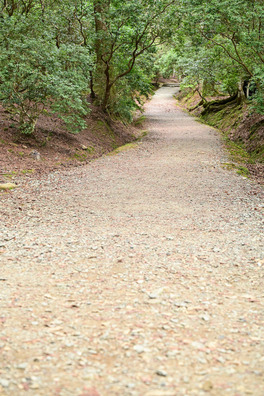 【福岡・前原】笹山公園で見た謎の井戸、場所を知ってる人いる？