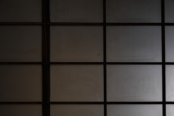texture982384_TP_V