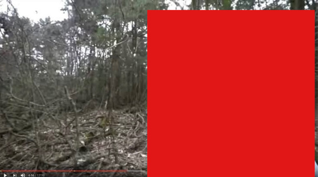 80D3F96D-9F1C-4138-B03D-E1052A9AEF12