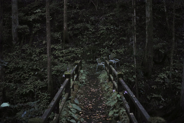 yuki-3SDIM25362642_TP_V