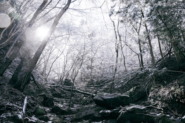 bleachbypassthmb4_TP_V