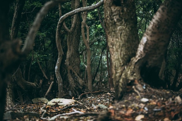 【事件？】ここ人間埋まってんじゃね？