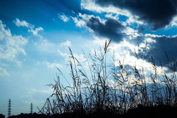 PAK79_aozoratokasenjiki20501230055640_TP_V