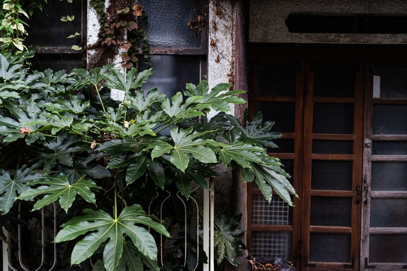 【恐怖】夜１０時「ﾋﾟﾝﾎﾟﾝﾋﾟﾝﾎﾟﾝﾋﾟ！」ガチャ→知らないガキが立ってた→結果…！！