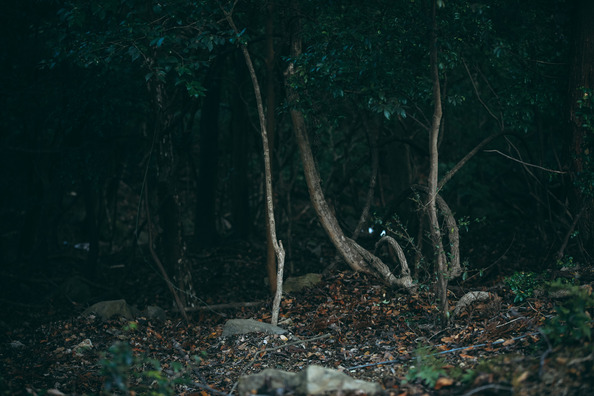 【※ゾッとする話】新聞配達員「あの不気味な家で変な事があった」所長「そこは配達区域じゃない」→実は…