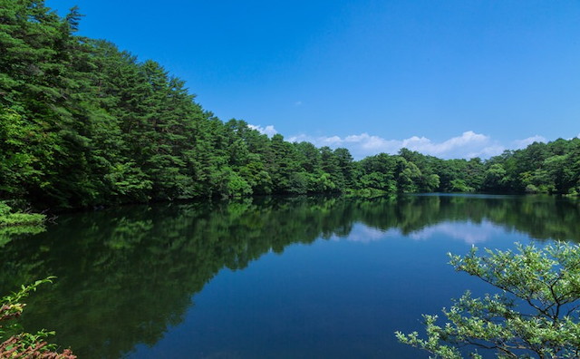 PAK86_yanaginuma5shikinuma500-thumb-750x500-3358