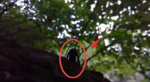 SnapCrab_NoName_2022-9-6_11-35-25_No-00