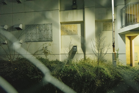 bukimi1227IMGL2374_TP_V (2)