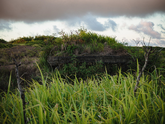 bakusanB20210812172059_TP_V