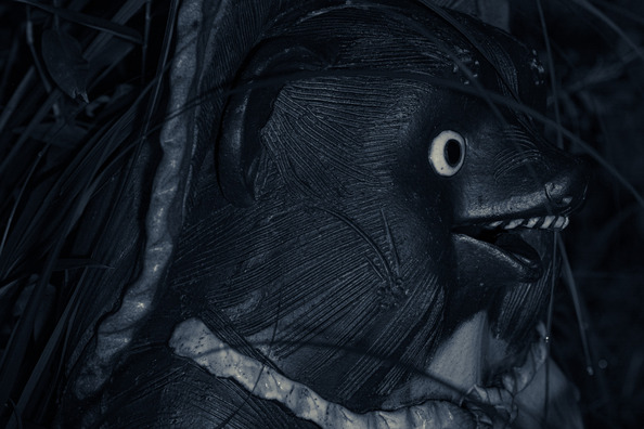 fujiko1122A0346_TP_V