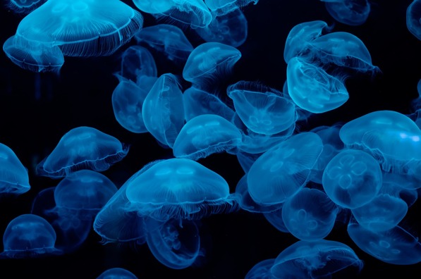 【不思議】「え、何あれ？」空に変なモノが飛んでるんだが…