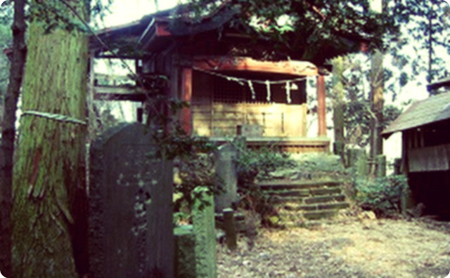 【天狗山】山で遊んでいると不意に男の子が現れた