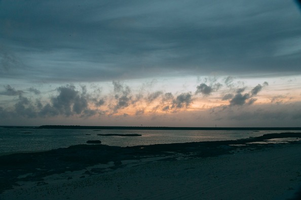 shikun1250IMG_0550_TP_V (1)