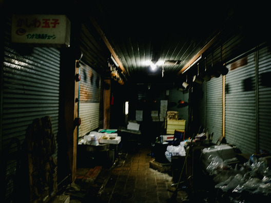 bobjinno7050163_TP_V