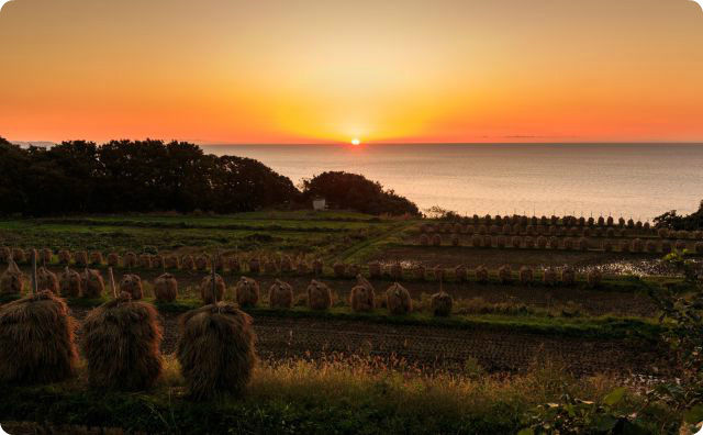 田舎、夕日