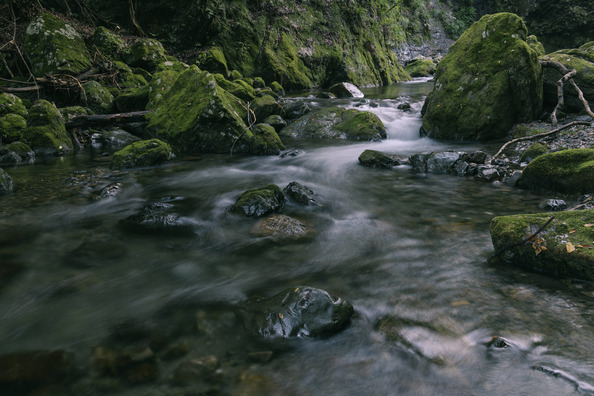 redsugar2010251000_TP_V