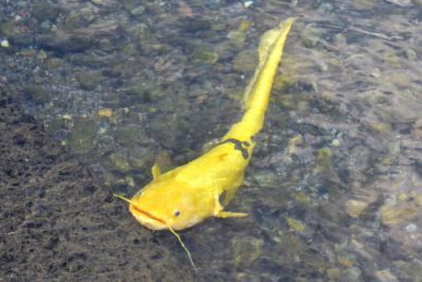 SnapCrab_NoName_2022-9-6_11-27-59_No-00 - コピー