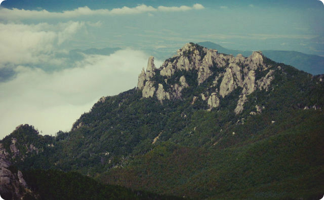【山の不思議】山と鉈と神様