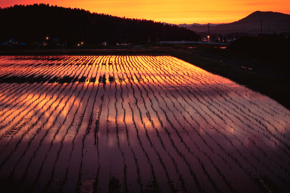 ameman201025923_TP_V