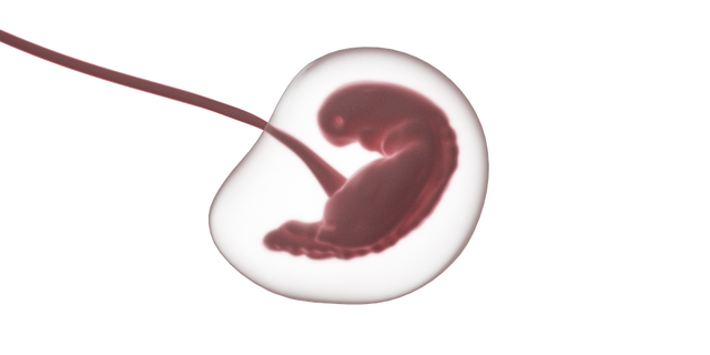 【心霊】命がけで赤ちゃんを守った母の話