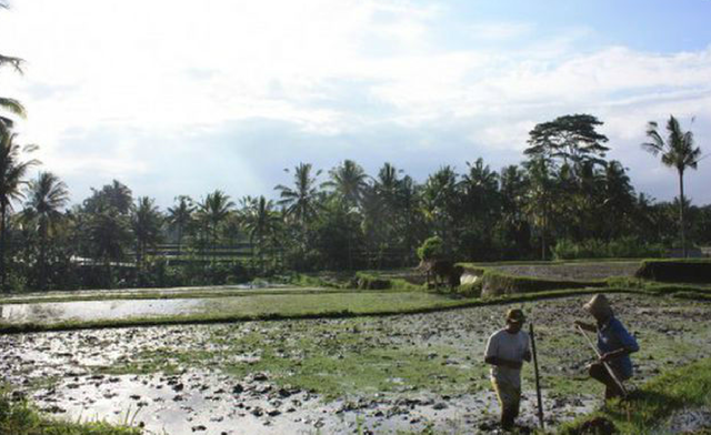 【農家の怖い話】この杭、なに？