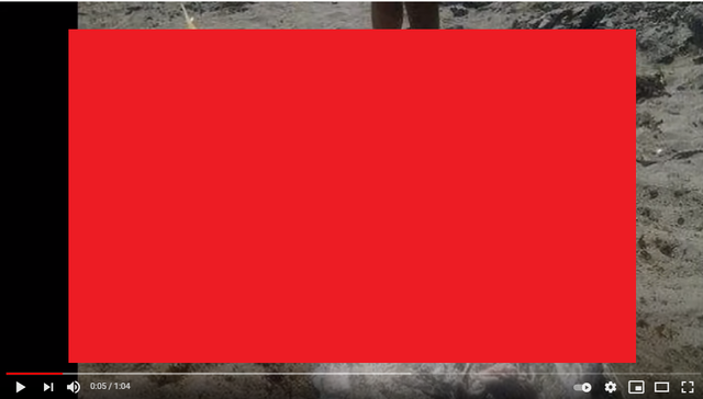 【※動画】なんか海に竜みたいなのいるんだが…