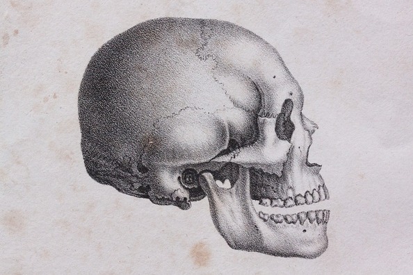 skull-1984239_960_720