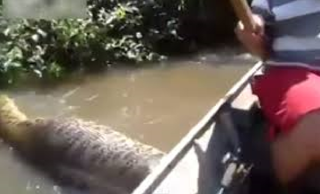 SnapCrab_NoName_2022-7-8_11-1-56_No-00