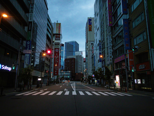 NZSbobakibaPA170003461AB-low-light_TP_V